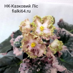 НК-Казковий Лiс (Козак)